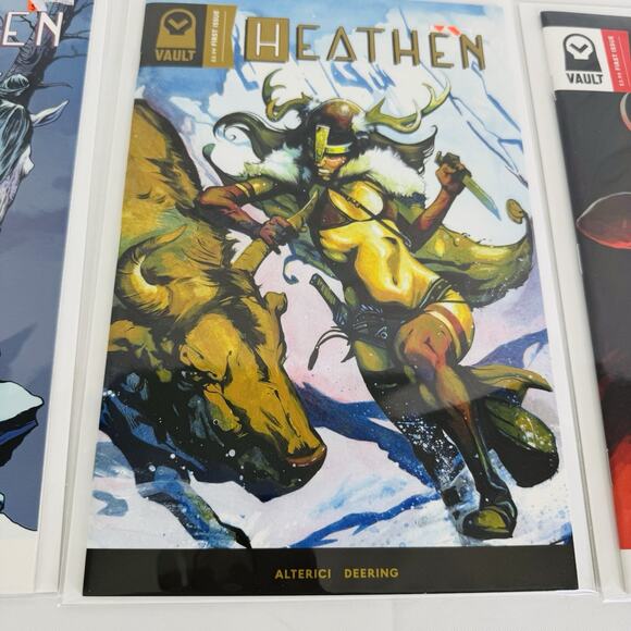 Heathen #1 Regular Cover, RI 1:5 Alerici cover & #1 Variant Lot Vault Comics - Picture 3 of 4